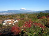 紅葉と富士冠雪コラボ