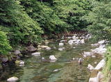 狩野川上流部