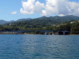 真鶴沖